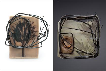 Lazard.neutral wire forms with plant imagery