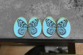 Conroy.enamel butterflys