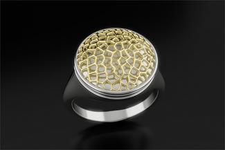 Hesson.silver and gold ring