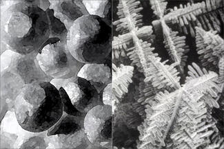 LewtonBrain.molecule structures