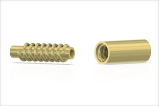 Muir.brass model