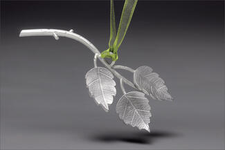 Werger.silver branch