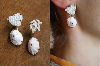 Pengelley.shell earrings