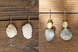 Pengelley.warm tones shell earrings