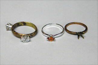 Raskin.prong samples
